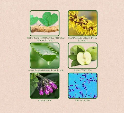 Shinopearl Toner - Image 2