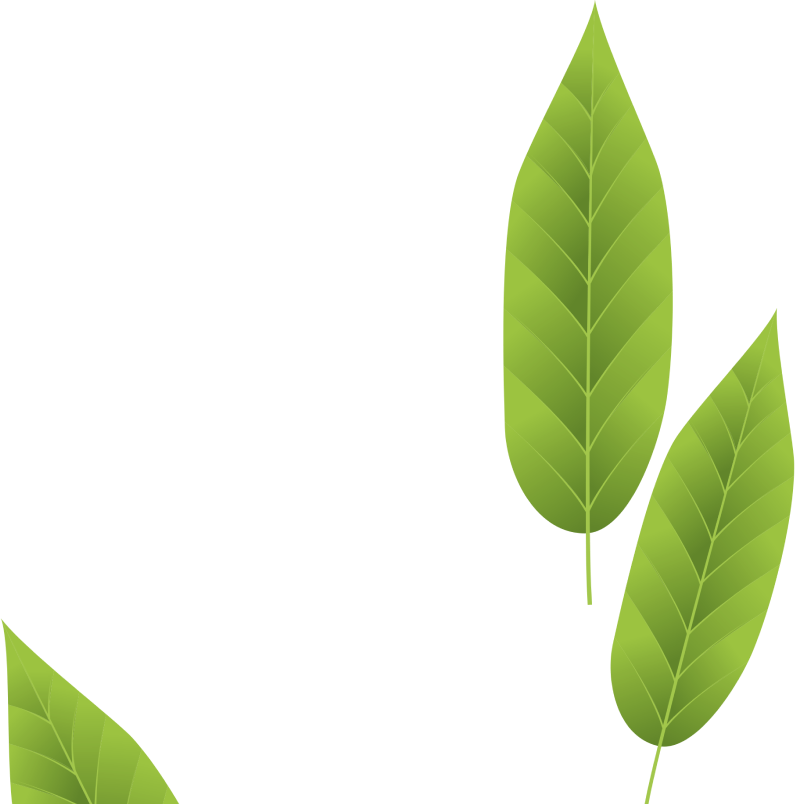Zed Tech Pharma LLP.