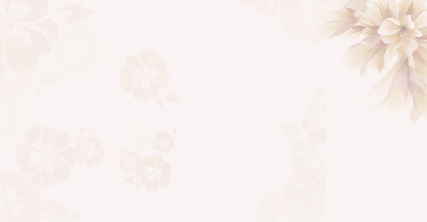 Zed Tech Pharma LLP.